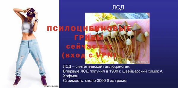 mix Аркадак