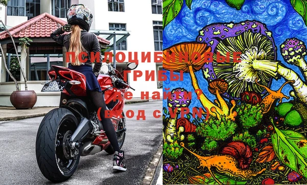 бошки Армянск