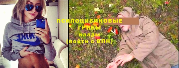ешки Арсеньев
