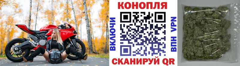 Каннабис OG Kush  Купить где  Сасово 